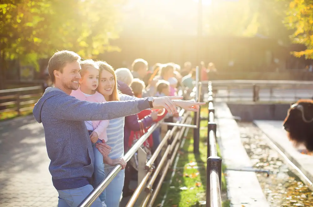 Eine Familie mit einem kleinen Kind steht an einem sonnigen Tag am Zaun des Eventmanagement-Zoos, lächelt und deutet auf ein Tiergehege. Auch andere Besucher beobachten die Tiere entlang des Weges.